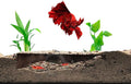 Shrimp Breeding Protector | Shrimp Breeding Cave Aquarium Tunnel | CTWPets by CTWPets