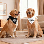 2 Pack Dog Bandana Pregnancy Announcement, Daddy's and Mama's Lil Sidekick - Image 5