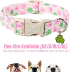St Patricks Day Dog Collar for Small Dogs - Image 6