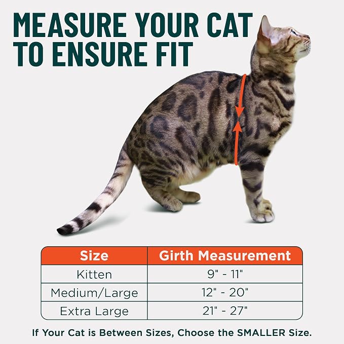 Houdini™ Escape Proof Kitten Harness and Leash Set by OutdoorBengal – Turquoise - Image 5