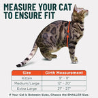 Houdini™ Escape Proof Kitten Harness and Leash Set by OutdoorBengal – Red - Image 5