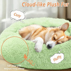 JOLLYVOGUE Calming Dog Bed for Small Dogs - Image 2