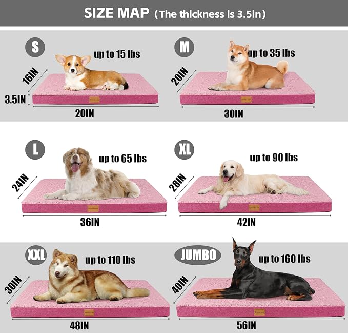 Patas Lague Orthopedic Jumbo Dog Bed - Image 5
