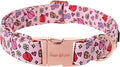 Unique style paws Valentine's Dog Collar Metal Buckle Puppy Collar XO Red Lips by Uniquestylepaws