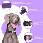 Roses&Poetry Small Dog Collar, Adjustable Reflective Puppy Collars Durable Pet - Image 2