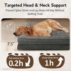 Large Dog Bed - XL Orthopedic Egg-Crate Memory Foam Dog Beds - Image 3