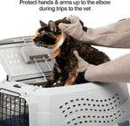 PetFusion Multipurpose Pet Glove - Image 5