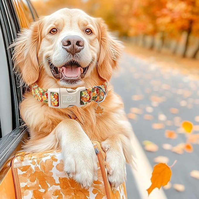 Fall Dog Collar Cute Autumn Leaves Puppy Collar - Image 2