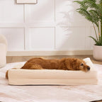 Dog Bed Large Sized Dogs, XL Orthopedic Dog Bed - Image 7