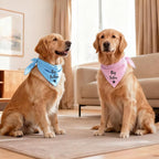 Big Sister and Big Brother Pet Dog Bandana, Triangle Scarf - Image 6