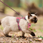 Cat Harness, Cat Harness and Leash - Image 5