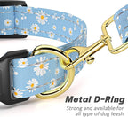 Reflective Dog Collar for Extra Small Dogs, Cute Daisy Theme Adjustable - Image 5