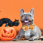 Halloween Dog Collar, Pet Collar Bow Fall Pet Collar Girl Boy Holiday Pet - Image 5