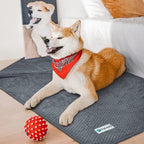 PetAmi Waterproof Dog Blanket, Leakproof XL Pet Blanket - Image 5