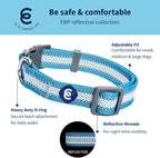 Blueberry Pet Essentials Reflective Dog Collar - Image 2