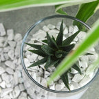 Howlite Aquarium Gravel Rocks Natural Tumbled Healing Crystal Chips Bulk - Image 4
