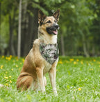 K32 Camouflage Dog Bandana - Image 4