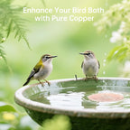 Bird Bath Copper Disk, Premium 0.6mm Sturdy 99.99% Pure Copper Disk - Image 6
