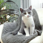 FurryBaby 1 Pack 2 Pet Blankets - Image 3