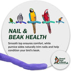Sweet Feet and Beak Brid Cage Safety Pumice Perch - Image 8