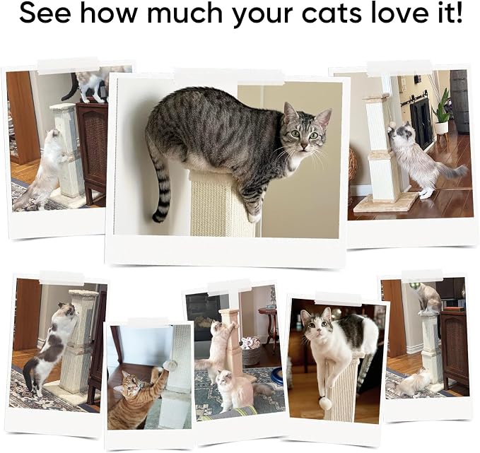 AGYM 32 Tall Cat Scratching Post - Image 6