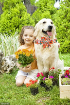 Lionheart Glory Cute Floral Pattern Pet Collar - Image 6