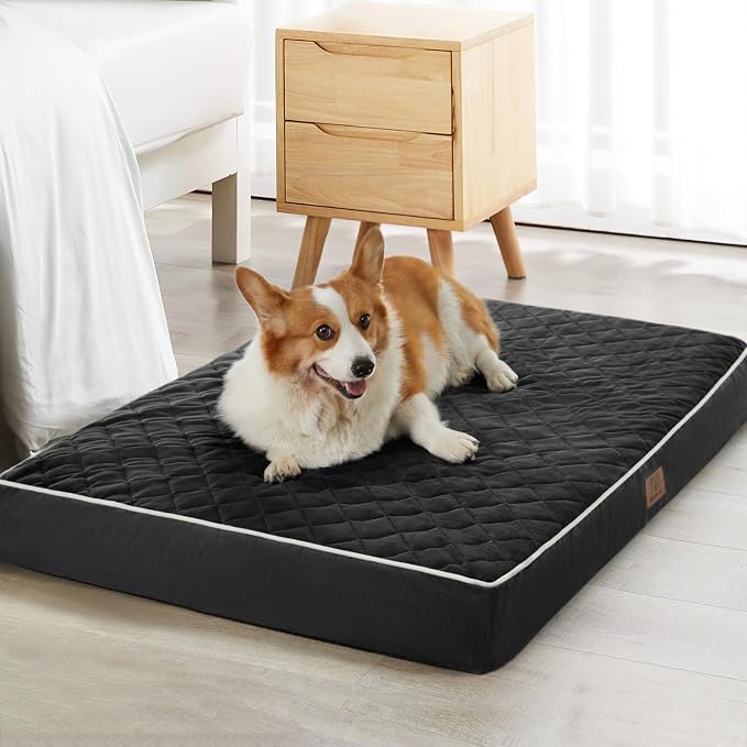 WNPETHOME Orthopedic XXL Dog Beds Large Sized Dog, Waterproof Extra Large Dogs by WNPETHOMEPETSHOME