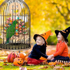 Large Parrot Toys, African Grey and Large Medium Birds - Image 9