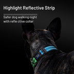 Roses&Poetry Dog Collars for Medium Dogs, Adjustable Durable Pet Collars for - Image 5