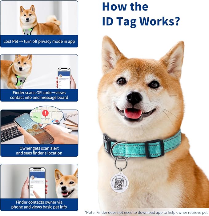 Reflective Dog Collar for Large Dogs - Image 5