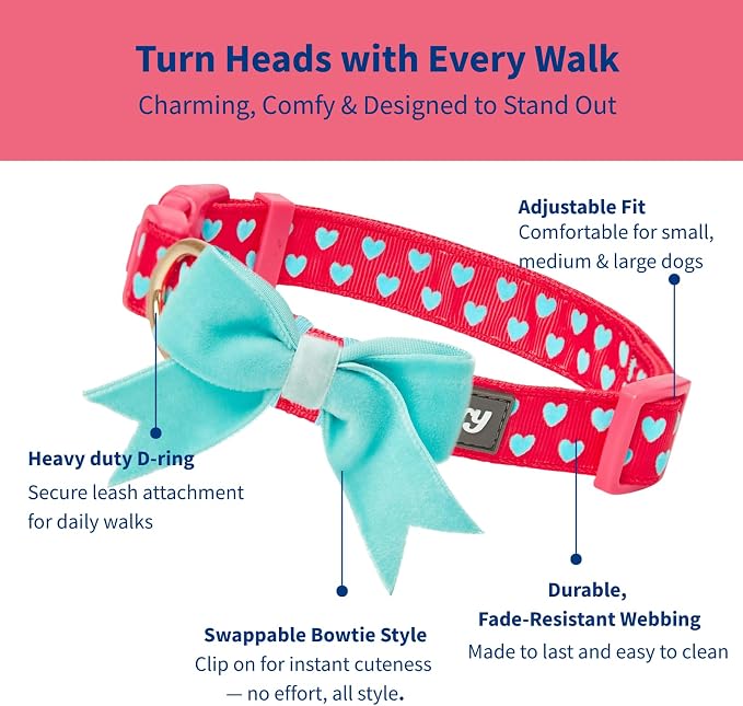 Blueberry Pet Valentines Day Dog Collar - Image 3