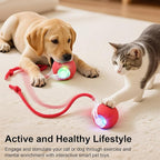 Interactive Electric Automatic Rolling Moving USB Rechargeable Self Activated - Image 2