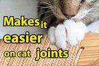 Skywin Cat Wall Steps - Image 5