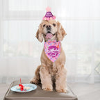 ADOGGYGO Dog Birthday Party Supplies - Image 2