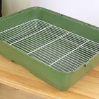 Transparent Small Bird - Image 6