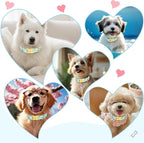 Easter Dog Collar for Extra Small Dogs, Easter & Spring Theme Small Dog Collar - Image 8