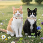 Cat Collar, 2 Pack Cute Cat Collars Breakaway - Image 6