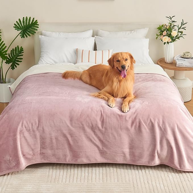 Waterproof Blanket 60"x80" for Adults, Reversible Waterproof Bed Cover for Dogs by Yaning