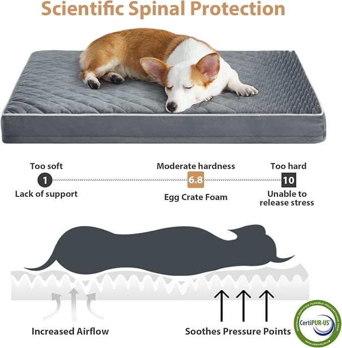 WNPETHOME Orthopedic XXL Dog Beds Large Sized Dog, Waterproof Extra Large Dogs - Image 3