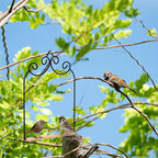 3 Pcs Hummingbird Swings and Perches Wild Bird Swing Metal Frame - Image 7