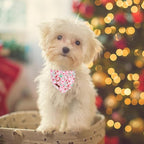 Christmas Dog Bandana–Adorable Happy Snowman Triangle Scarf - Image 3