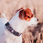 QQPETS Adjustable Soft Dog Collar: Print Flower Pink Multicolor Cute Patterns - Image 5