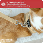 Downtown Pet Supply Step in Dog Harness - Image 6