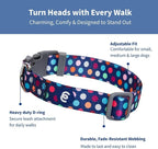 Blueberry Pet Essentials Rainbow Polka Dots Adjustable Dog Collar, Neck 18"-26" - Image 2