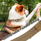 Tactical Dog Collar with Handle, Military Adjustable Heavy Duty Metal Buckle - Image 5