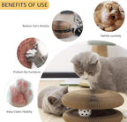 Cat Toy, Magic Organ Cat Scratch Board, Compact Cats Accordion Toy, Interactive - Image 4