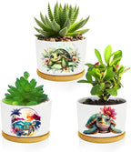 Turtle Succulent Pots 3 Pack, 3 Inch Succulent Planters by Databa