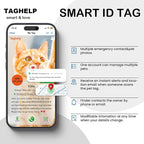 Collar with QR Code, Reflective Cat Collar with Name Tag, Personalized - Image 8