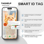 Peace of Mind Cat Collar 2-Pack: QR Code Tag - Image 8