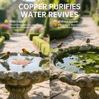2 Pack Bird Bath Copper Disk, Premium 0.6mm Sturdy 99.99% Pure Copper Disk - Image 3